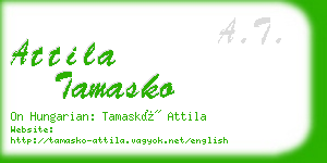 attila tamasko business card